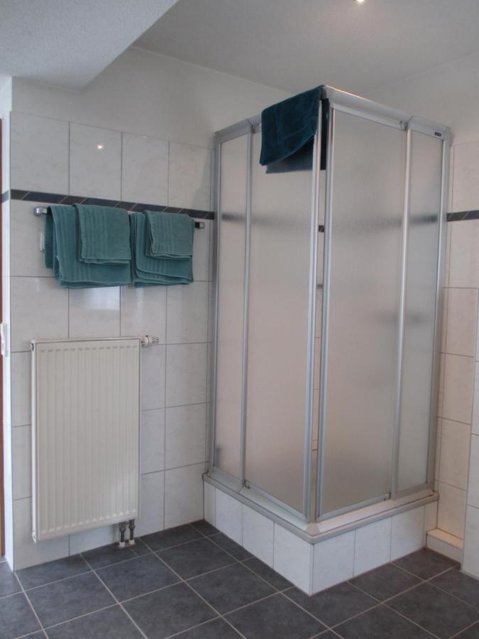Appartement Haus Steininger à Schluchsee Extérieur photo