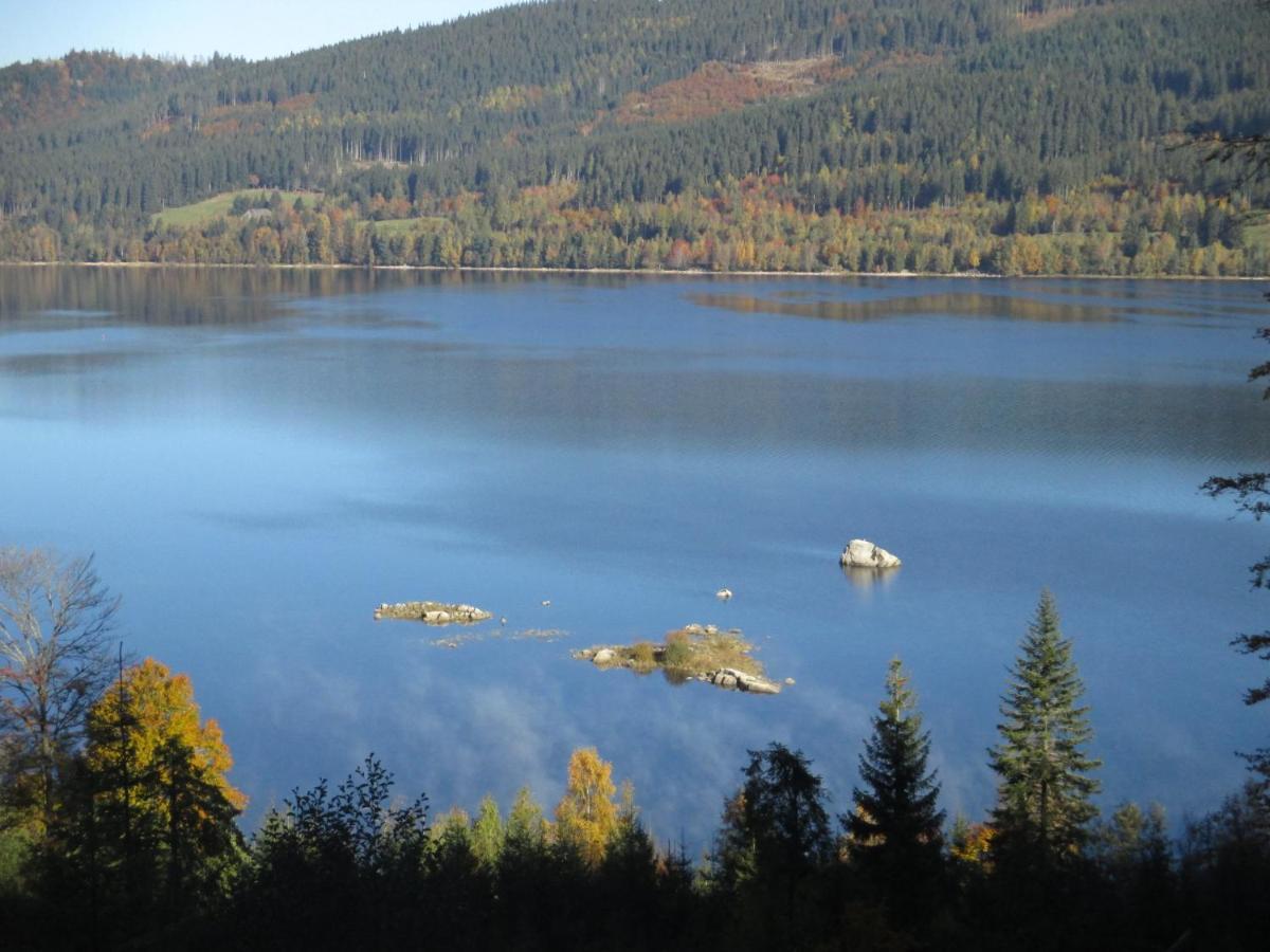 Appartement Haus Steininger à Schluchsee Extérieur photo