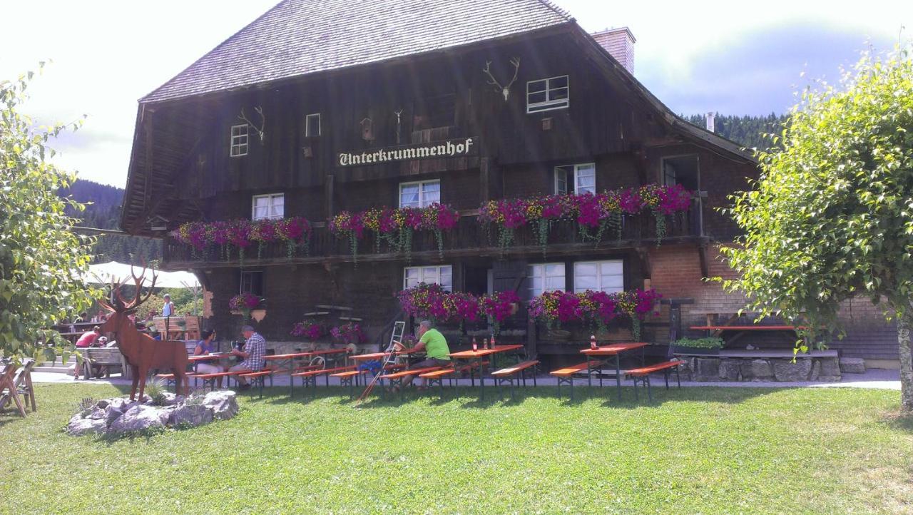Appartement Haus Steininger à Schluchsee Extérieur photo