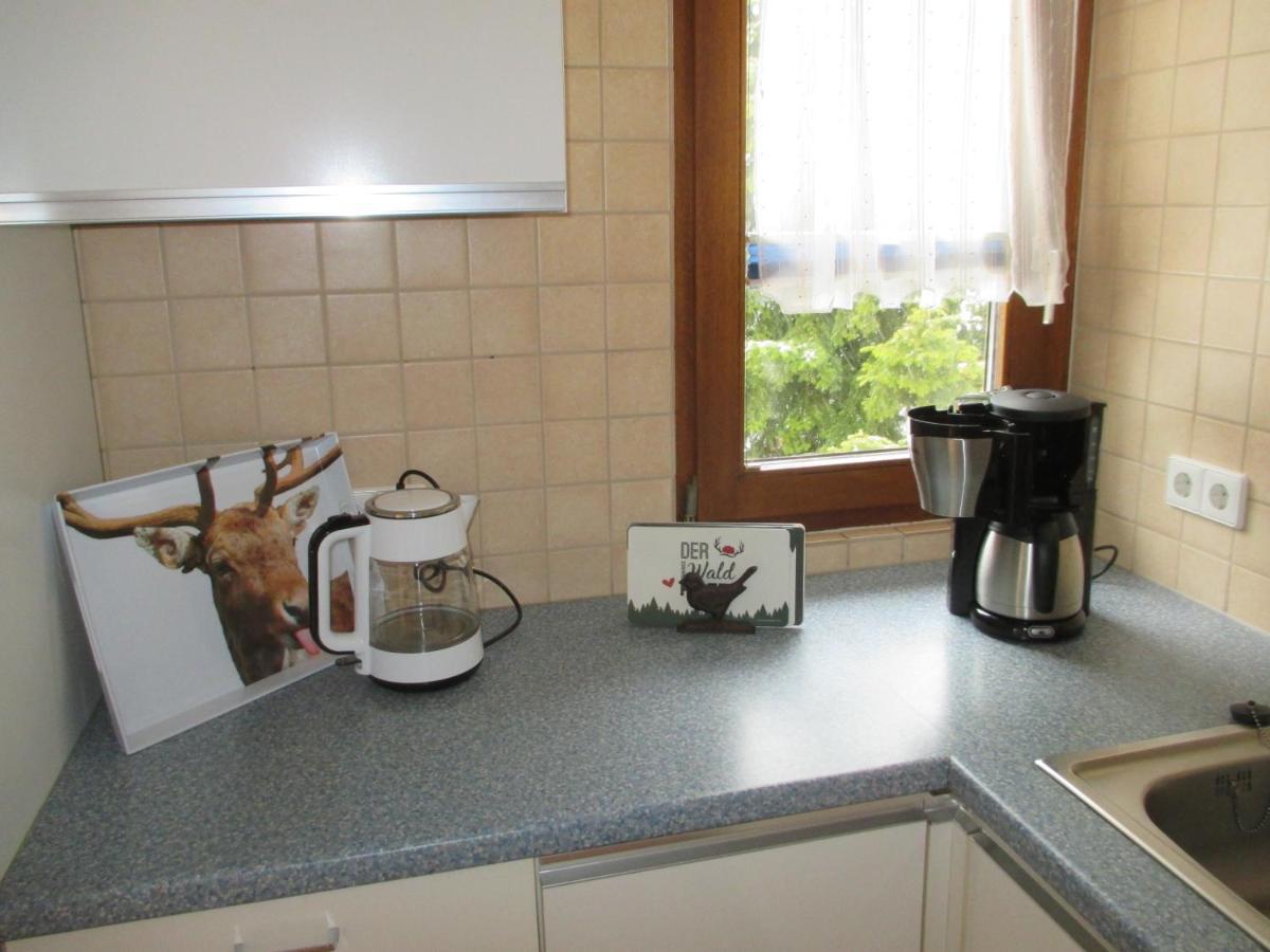 Appartement Haus Steininger à Schluchsee Extérieur photo